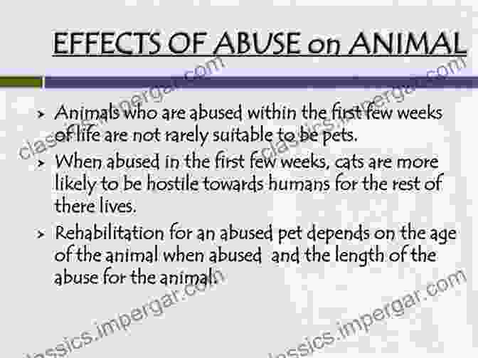 A Child Witnessing Animal Abuse, Highlighting The Detrimental Effects On Society Understanding Animal Abuse: A Sociological Analysis