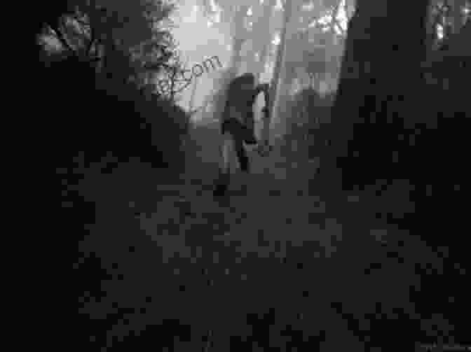 A Group Of Teenagers Run Through A Dark Forest, Their Faces Filled With Fear. Don T Look Behind You: Ann Rule S Crime Files #15