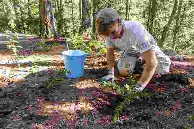 A Group Of Volunteers Enthusiastically Planting Indigenous Tree Species In A Restoration Project. Study On Indigenous Forest Tree Species Considering Future Climate Change