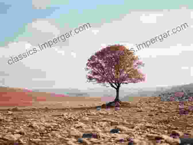 A Lone Tree Standing Tall Against A Stormy Sky, Its Branches Reaching Towards The Heavens, Symbolizing The Resilience Of Life In The Face Of Adversity. A Case For Space: And The Tale Of Two Perspectives (Northridge Photography Presents 6)