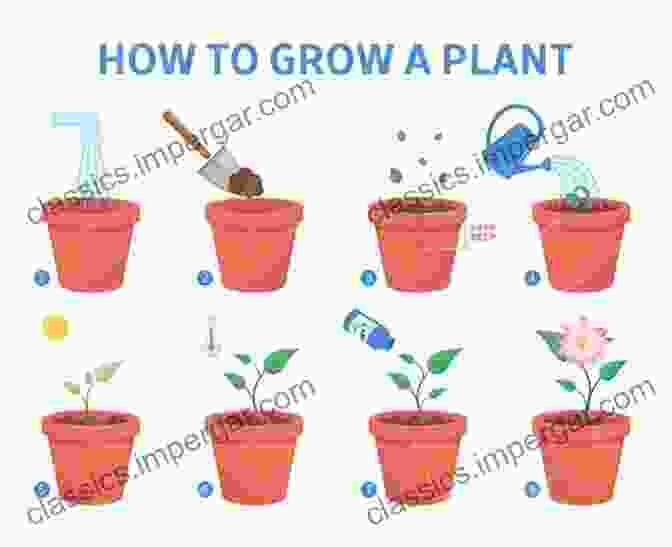 A Step By Step Guide To Planting A Flower Bed The Ultimate Home Maintenance Tips: How To Make Your Home Maintenance Easier: Tips For Home Maintenance