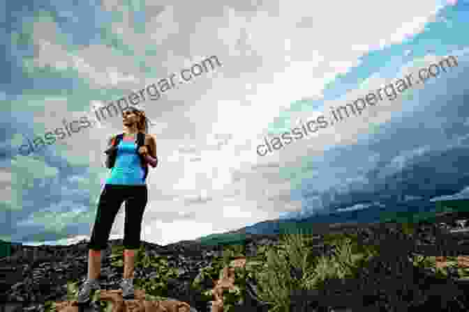 A Woman Standing On A Hilltop, Looking Out At A Vast Landscape, Representing The Journey Of A Lifetime The First Ninety Years: A Sumerian Celebration In Honor Of Miguel Civil (Studies In Ancient Near Eastern Records (SANER) 12)