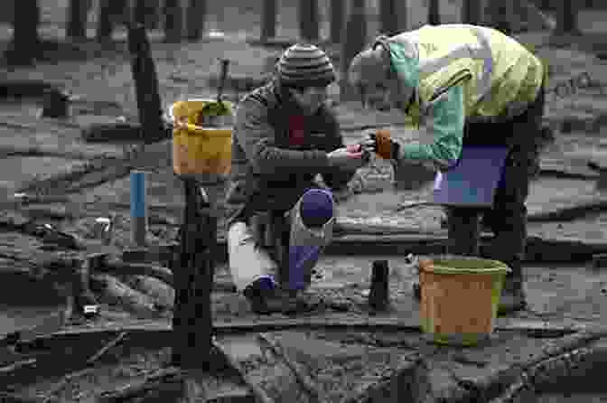 Archaeologists Excavating A Bronze Age Site. Bronze Age Military Equipment Christy Wilhelmi