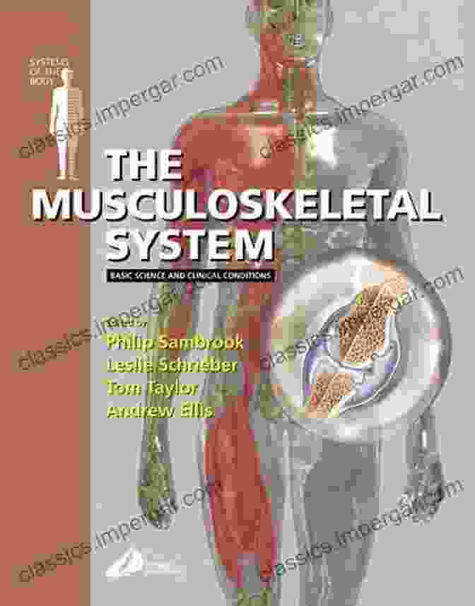 Basic Science And Clinical Conditions Systems Of The Body Book The Respiratory System: Basic Science And Clinical Conditions (Systems Of The Body)