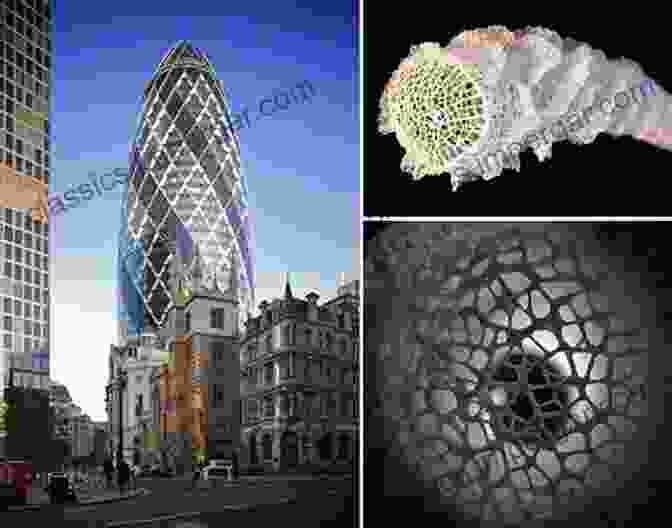 Biomimicry Inspired Building Resembling A Flower LabStudio: Design Research Between Architecture And Biology