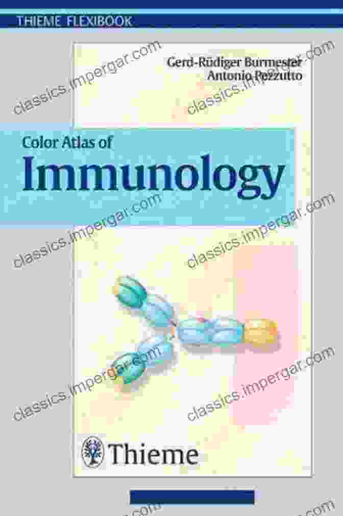 Cover Of Color Atlas Of Immunology Thieme Flexibook Color Atlas Of Immunology (Thieme Flexibook)