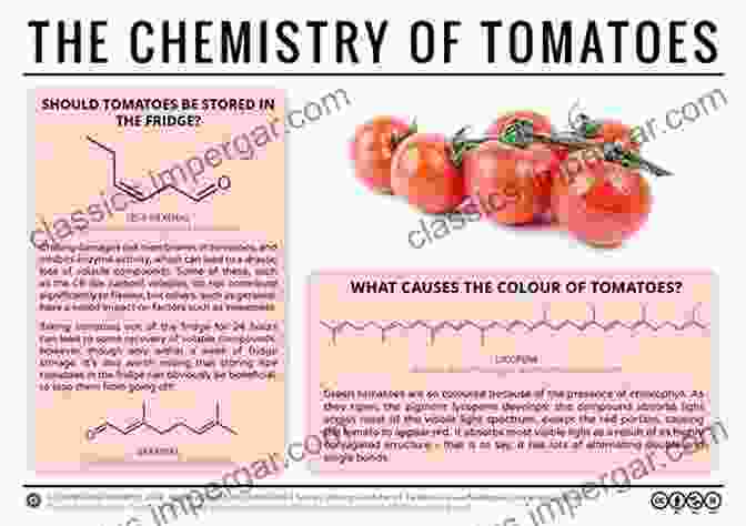 Diagram Of Tomato Chemistry Tomato Chemistry Industrial Processing And Product Development (Food Chemistry Function And Analysis 9)