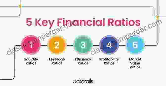 Financial Statements And Key Ratios For High Tech Startups Entrepreneurial Finance And Accounting For High Tech Companies