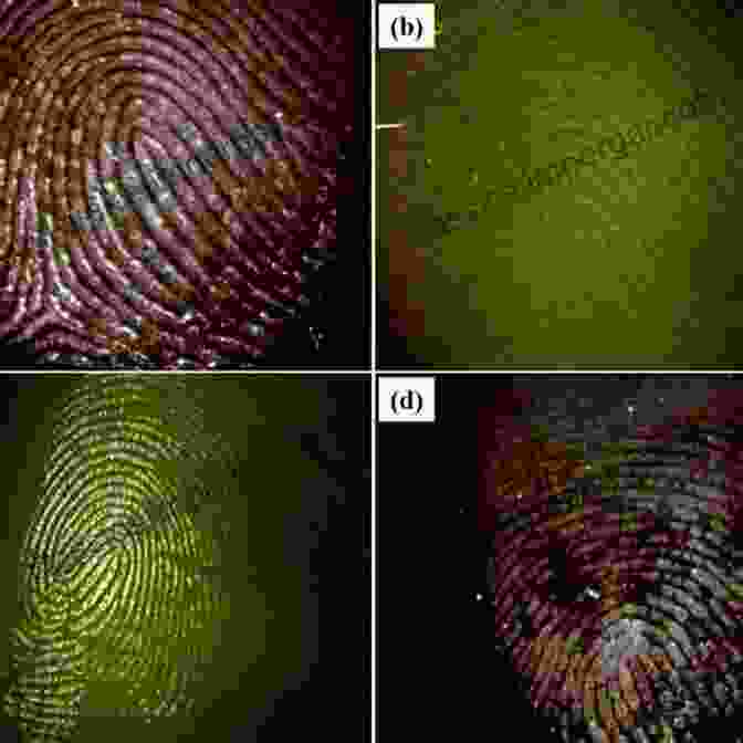 Fingerprint Comparison Under Microscope Lee And Gaensslen S Advances In Fingerprint Technology