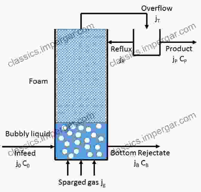 Foam Fractionation (FF) Surfactant Based Separation Processes (Surfactant Science 33)