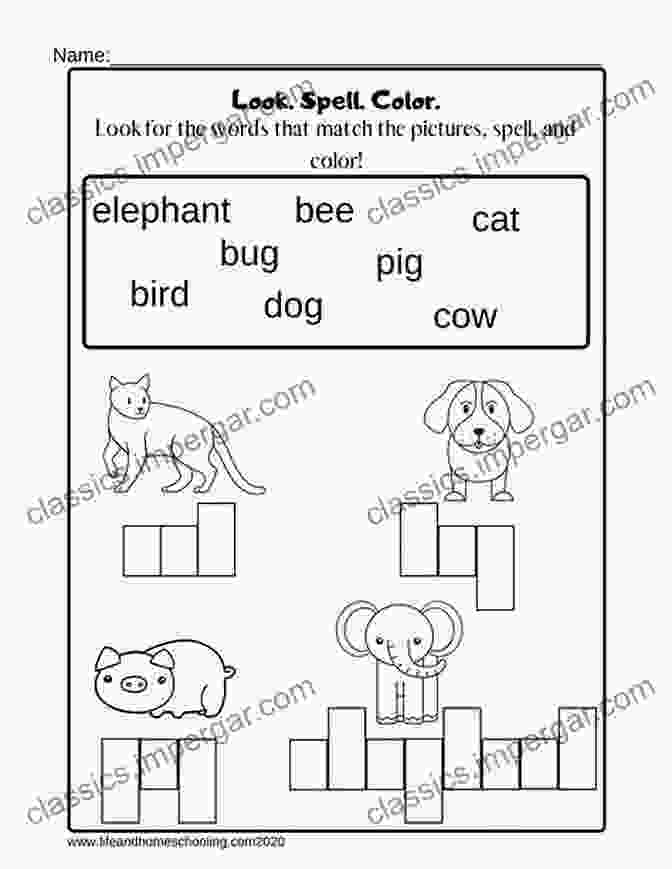 Fun Word Activity For Kids Cover Image Fun Word Activity For Kids