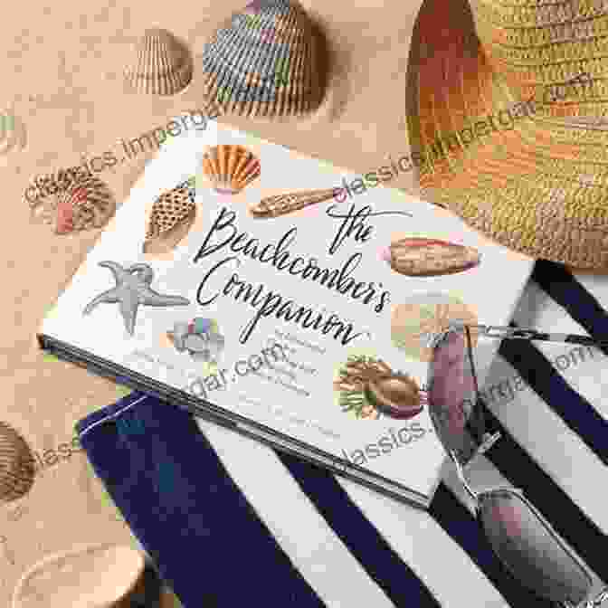 Glass Bottle The Beachcomber S Companion: An Illustrated Guide To Collecting And Identifying Beach Treasures