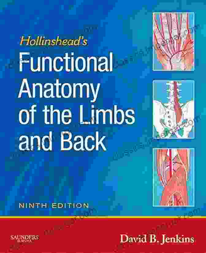 Hollinshead's Functional Anatomy Of The Limbs And Back Book Cover Hollinshead S Functional Anatomy Of The Limbs And Back E