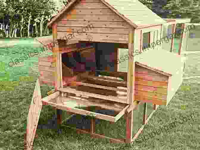 Illustration Of A Well Designed Chicken Coop With Nest Boxes, Roosts, And A Run The Homesteader S Natural Chicken Keeping Handbook: Raising A Healthy Flock From Start To Finish