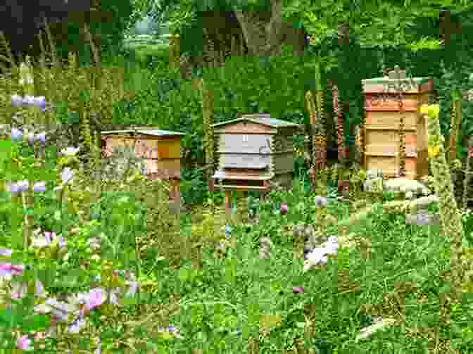 Image Of A Beehive In A Field Of Flowers Building Beehives For Dummies Howland Blackiston