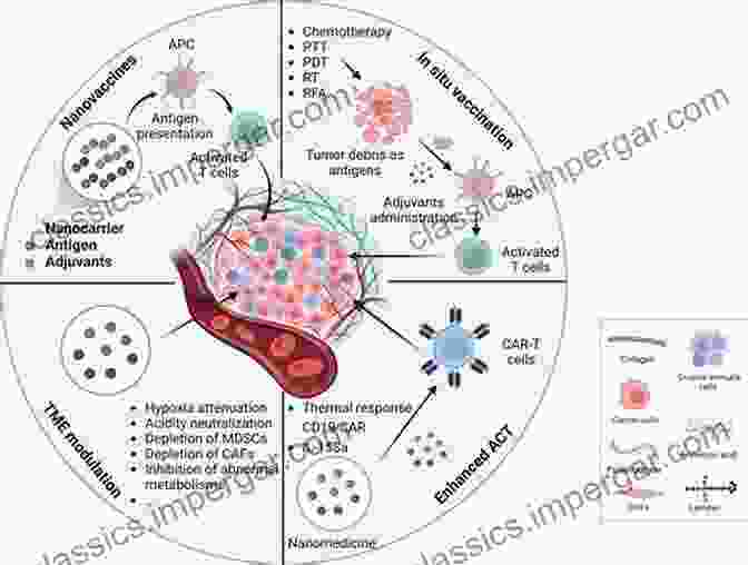 Image Of Nanomedicine For Bioactive Delivery In Cancer Treatment Nanomedicine For Bioactives: Healthcare Applications