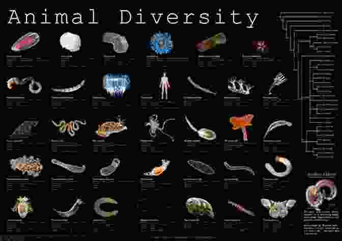 Image Of Various Animals Representing The Diversity Of The Animal Kingdom Learning Animals: Curriculum Pedagogy And Becoming A Veterinarian