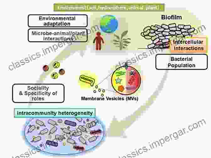 Insects And Their Beneficial Microbes: A Comprehensive Guide To Insect Microbial Interactions And Their Applications Insects And Their Beneficial Microbes