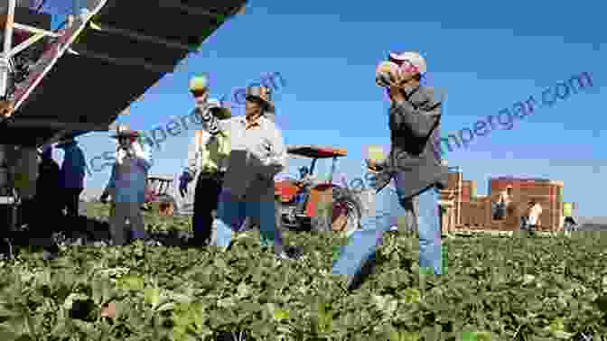 Mexican American And Mexican Immigrant Farmworkers Marching For Their Rights Grounds For Dreaming: Mexican Americans Mexican Immigrants And The California Farmworker Movement (The Lamar In Western History)