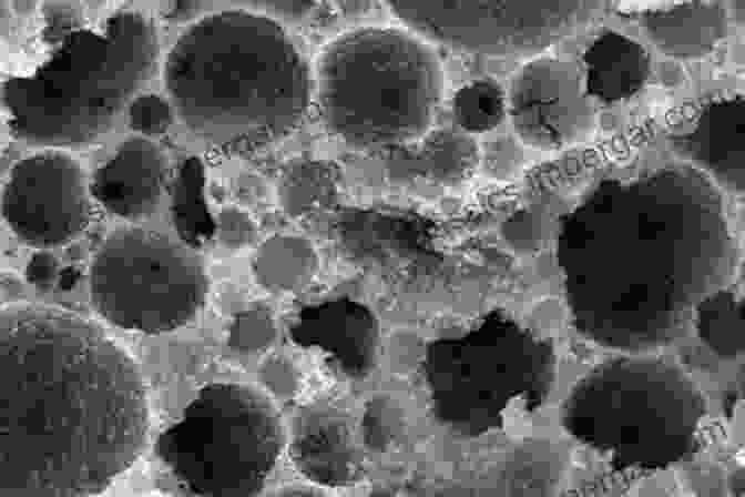 Microscopic Image Of Concrete An To Design Criteria For Concrete Structures (Concrete Engineering)