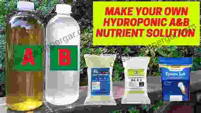 Nutrient Solution Being Mixed And Tested DIY Hydroponics: A Beginner S Guide