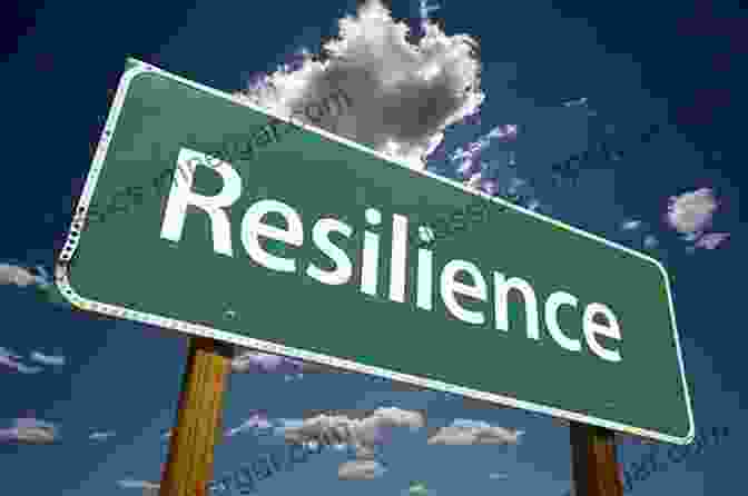 Resilience Is The Ability To Bounce Back From Adversity. Breaking The Stress Cycle: 7 Steps To Greater Resilience Happiness And Peace Of Mind