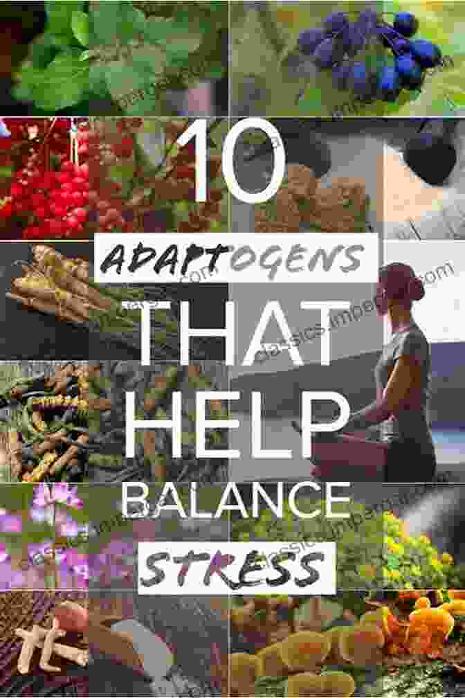 Supplements Like Magnesium, Adaptogens, And CBD Can Aid In Stress Management. Feed Your Calm: Anti Anxiety Anti Stress Diet And Supplement Tips For Stress Resilience