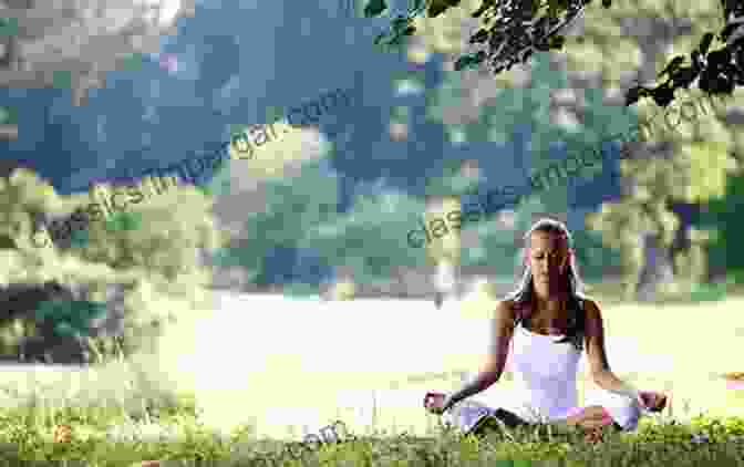 Yoga, Meditation, And Spending Time In Nature Can Help Mitigate Stress. Feed Your Calm: Anti Anxiety Anti Stress Diet And Supplement Tips For Stress Resilience