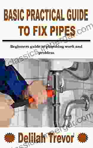 BASIC PRACTICAL GUIDE TO FIX PIPES: Beginners guide to plumbing work and problem