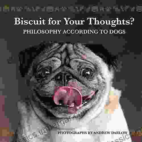 Biscuit For Your Thoughts?: Philosophy According To Dogs