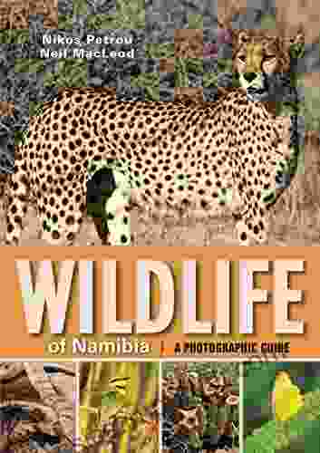 Wildlife Of Namibia Amy Irvine