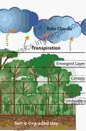 Soils Of Tropical Forest Ecosystems: Characteristics Ecology And Management