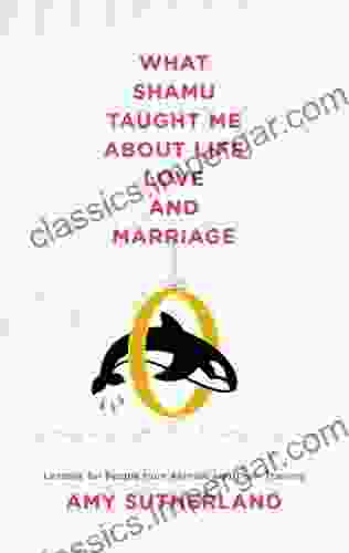 What Shamu Taught Me About Life Love And Marriage: Lessons For People From Animals And Their Trainers