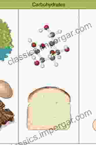 Food: The Chemistry Of Its Components