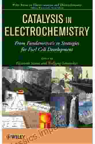 Catalysis In Electrochemistry: From Fundamental Aspects To Strategies For Fuel Cell Development (The Wiley On Electrocatalysis And Electrochemistry 7)