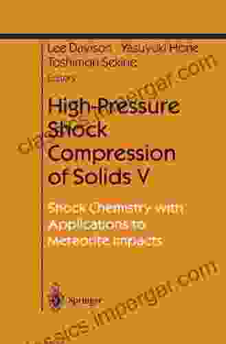 High Pressure Shock Compression Of Solids V: Shock Chemistry With Applications To Meteorite Impacts (Shock Wave And High Pressure Phenomena)