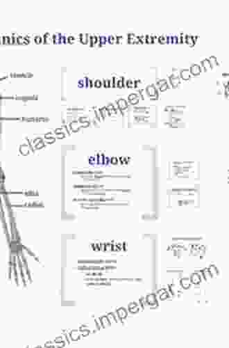 Biomechanics Of The Upper Limbs: Mechanics Modeling And Musculoskeletal Injuries Second Edition