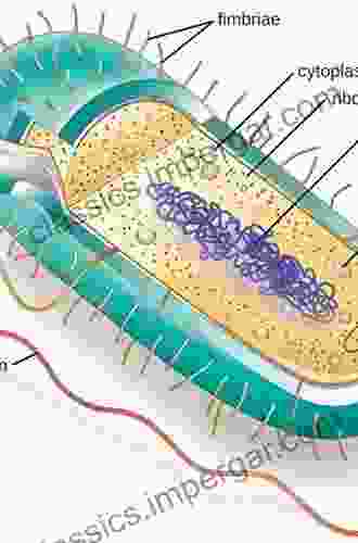 Prokaryotic Cell Wall Compounds: Structure And Biochemistry