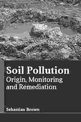 Soil Pollution: Origin Monitoring Remediation