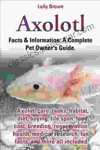 Axolotl Facts Information: A Complete Pet Owner S Guide Axolotl Care Tanks Habitat Diet Buying Life Span Food Cost Breeding Regeneration Health Medical Research Fun Facts And More