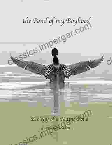 The Pond Of My Boyhood: Ecology Of A Maine Pond Vol 1