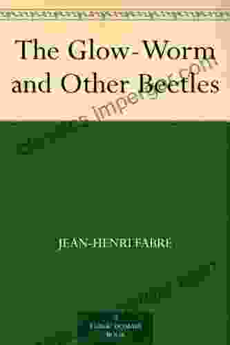 The Glow Worm And Other Beetles