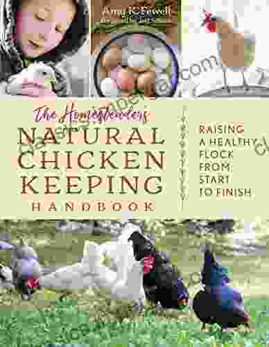 The Homesteader S Natural Chicken Keeping Handbook: Raising A Healthy Flock From Start To Finish