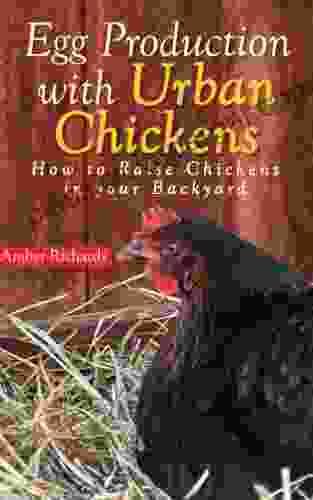 Egg Production with Urban Chickens: How to Raise Chickens in Your Backyard