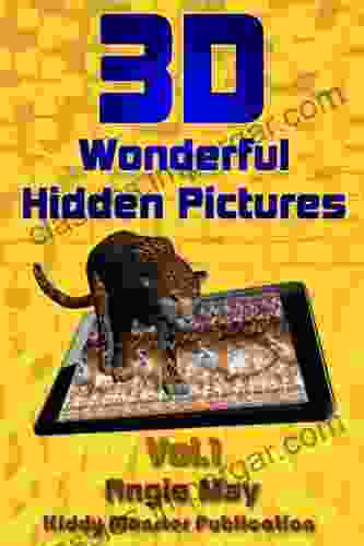 3D Wonderful Hidden Picture Vol 1