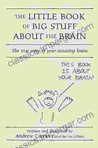 The Little Of Big Stuff About The Brain: The True Story Of Your Amazing Brain (The Little Books)