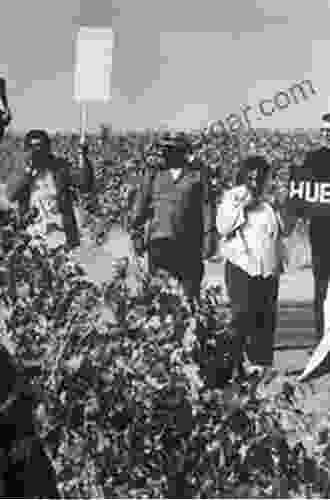 Grounds For Dreaming: Mexican Americans Mexican Immigrants And The California Farmworker Movement (The Lamar In Western History)